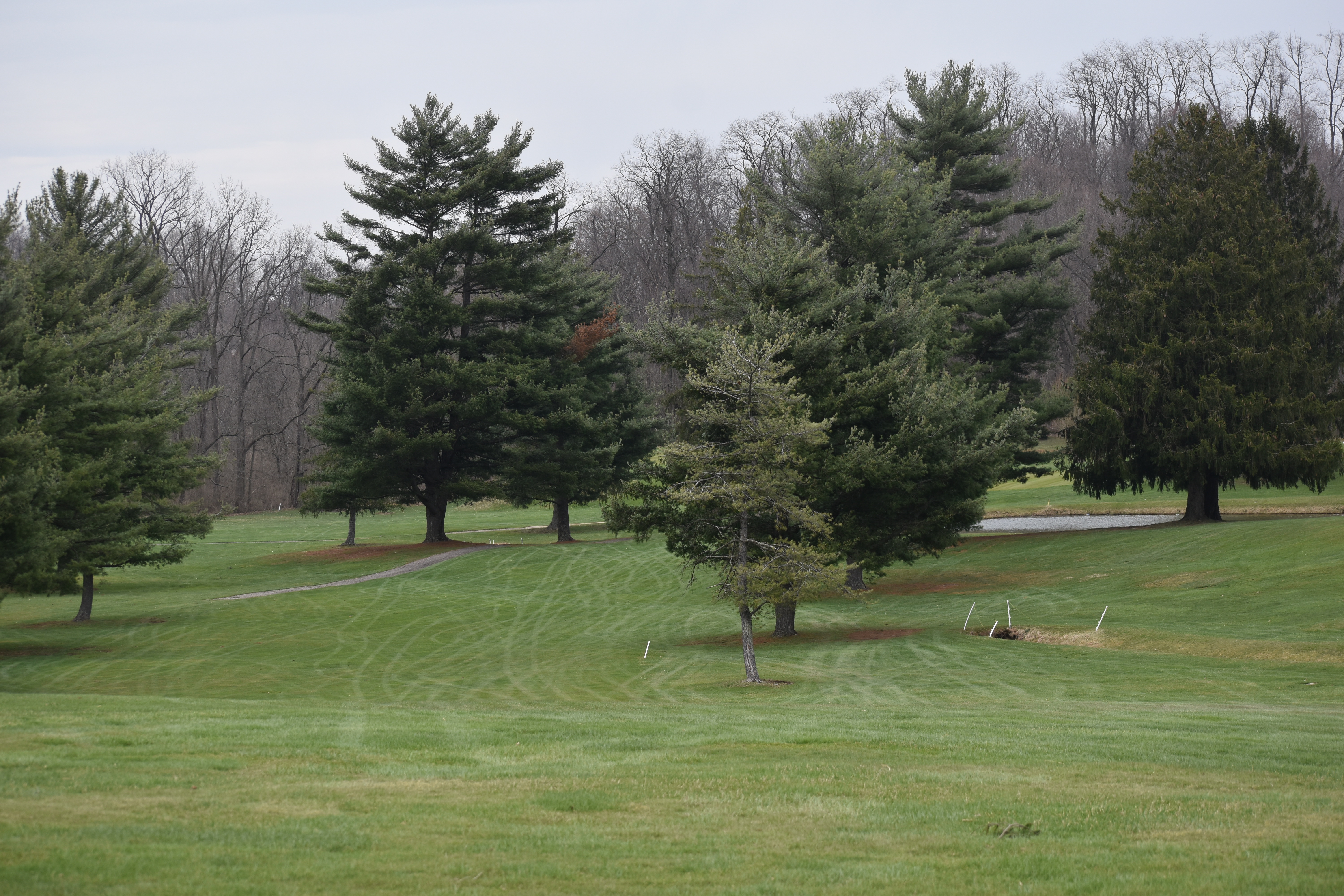 Image of golf ball on tee on grass.