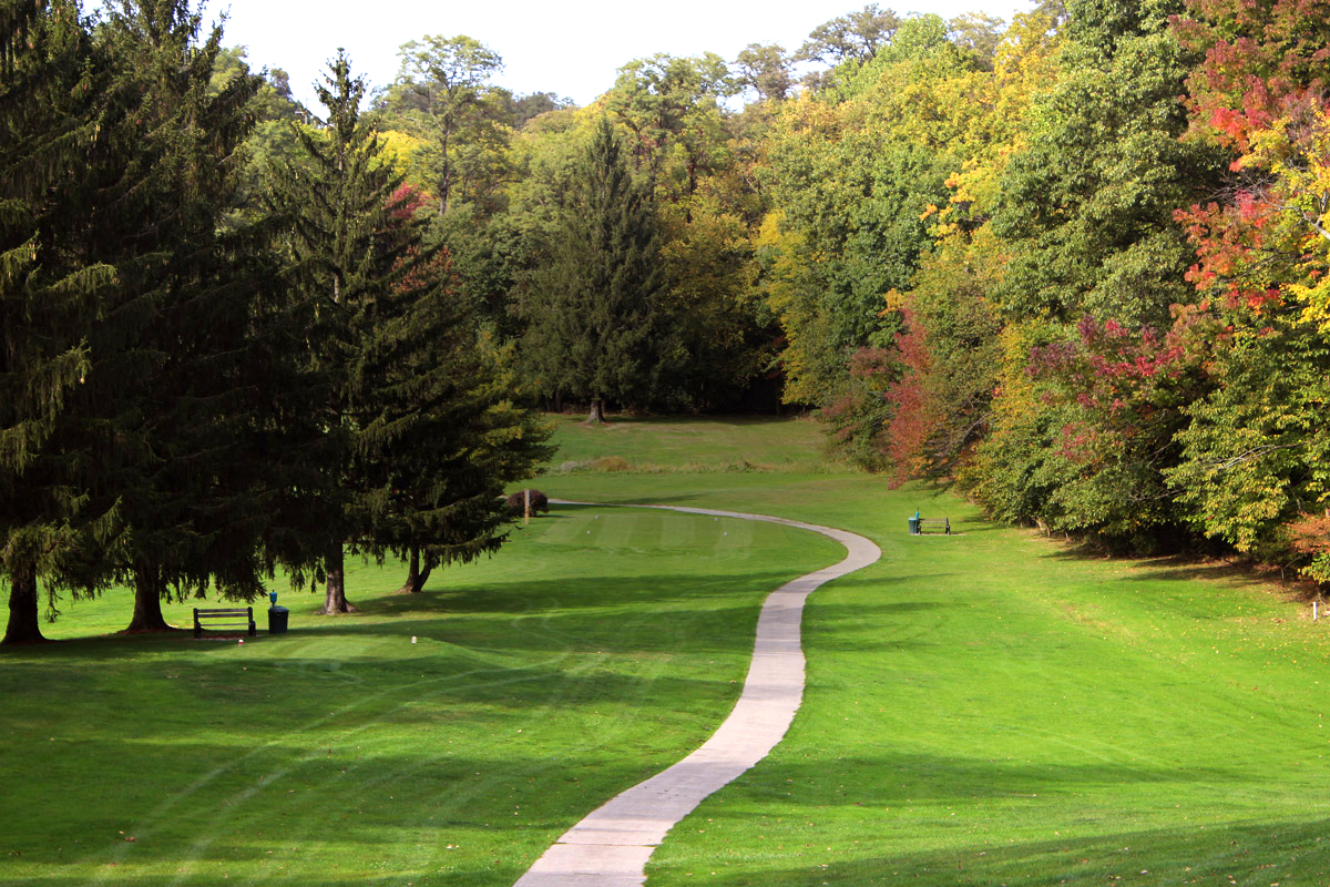 Cart path on golf course