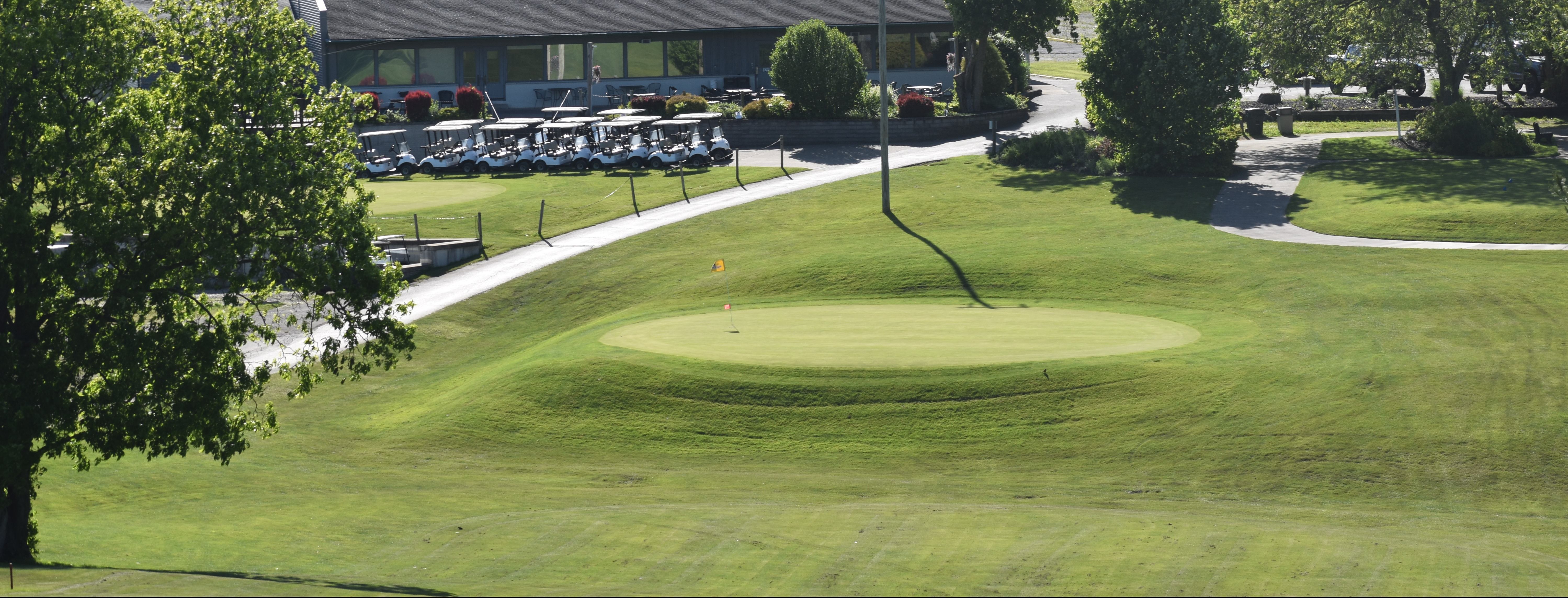 Image of golf ball on tee on grass.